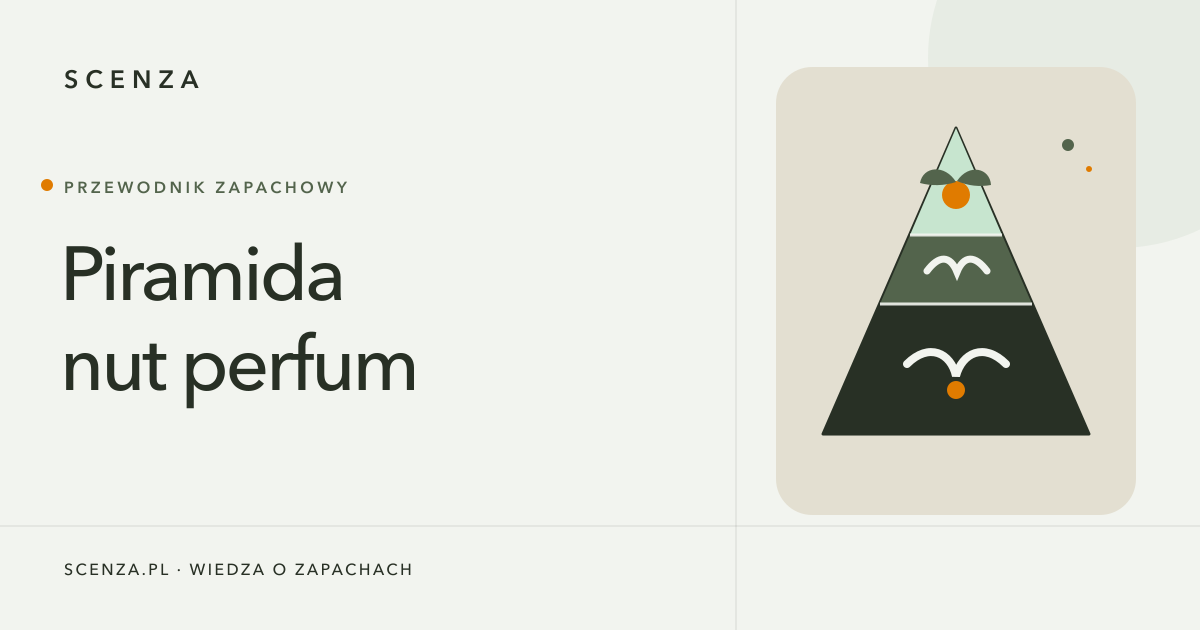 Piramida nut zapachowych z cytrusami, kwiatami, drewnem i żywicą ułożonymi w trzech poziomach